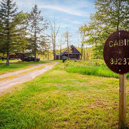 Cozy Cabin With Hottub At Cloverdale Cabins هينكلي المظهر الخارجي الصورة